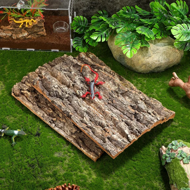 Lizards, spiders, habitat decorations for small pets, reptile terrace natural climbing bark platform, fish tank background
Lizards, spiders, habitat decorations for small pets, reptile terrace natural climbing bark platform, fish tank background