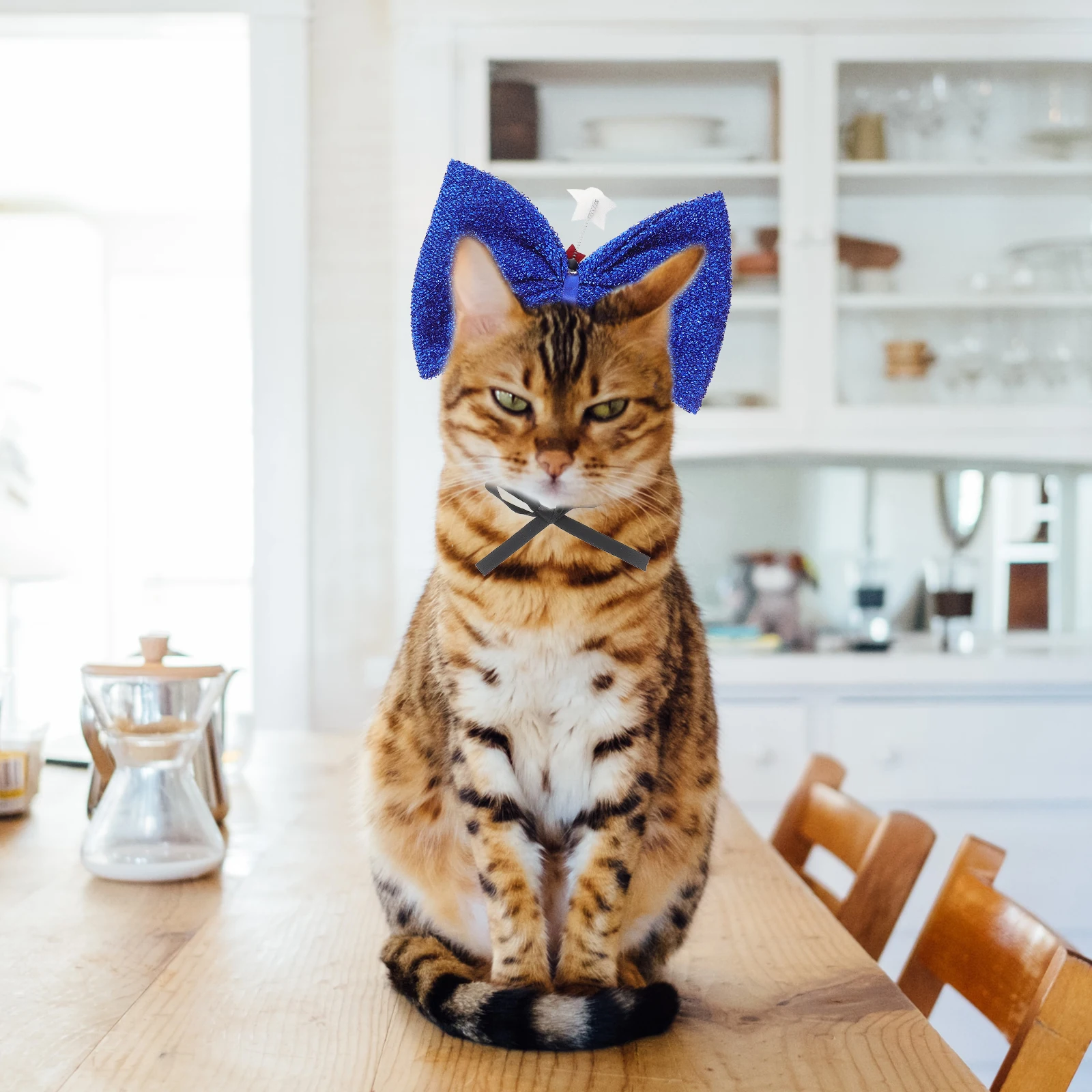 Independence Day Pet Headband Bow Design Dog Costume Hairband For Cats Dogs Daily Wear Photography Props Accessory
Independence Day Pet Headband Bow Design Dog Costume Hairband For Cats Dogs Daily Wear Photography Props Accessory