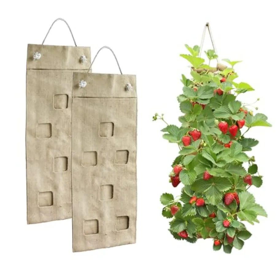 Vertical garden canvas hanging bag with 2-inch holes, natural beige color, durable heavy-duty fabric, ideal for growing 20 ever
Vertical garden canvas hanging bag with 2-inch holes, natural beige color, durable heavy-duty fabric, ideal for growing 20 ever