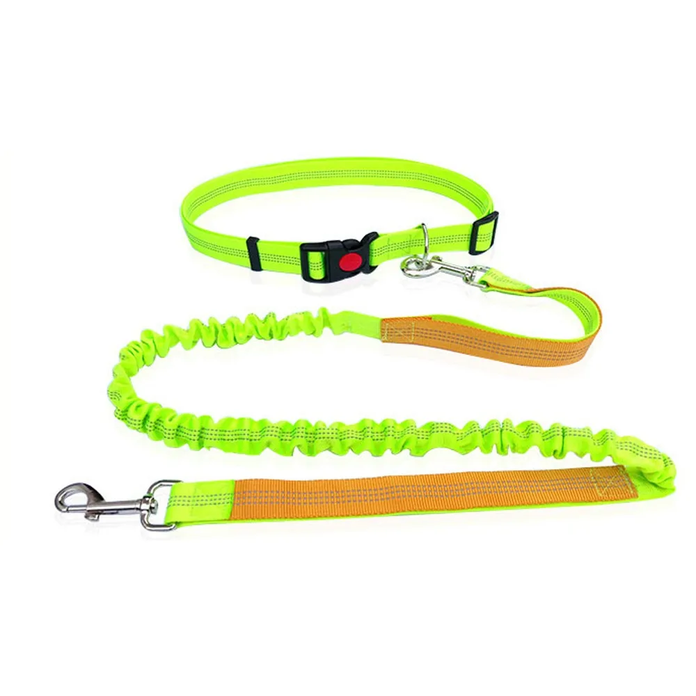 Double Stretch Pet Walking Leash Reflective Waist Belt Hand Free Dog Leash Elastic Dog Traction Rope for Dogs Cats
Double Stretch Pet Walking Leash Reflective Waist Belt Hand Free Dog Leash Elastic Dog Traction Rope for Dogs Cats