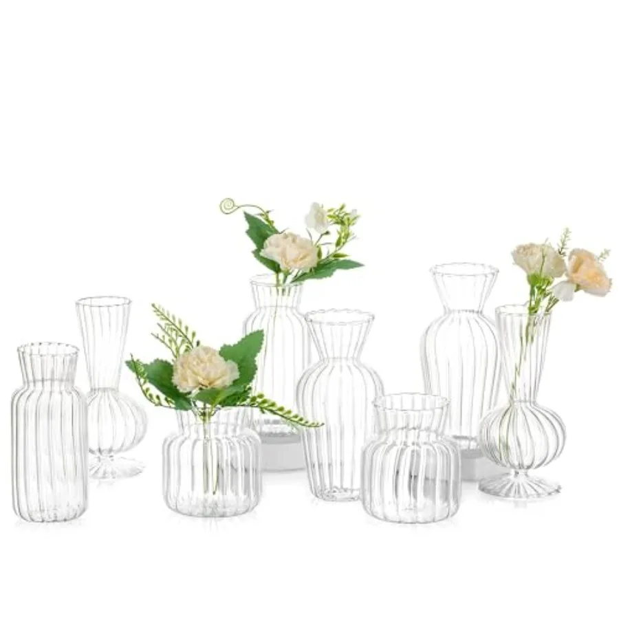 Modern Clear Glass Bud Vase Bulk Set: Small Mini Flower Centerpieces Vases Handmade DecorativeCute Short Window Corner Home Dec
Modern Clear Glass Bud Vase Bulk Set: Small Mini Flower Centerpieces Vases Handmade DecorativeCute Short Window Corner Home Dec