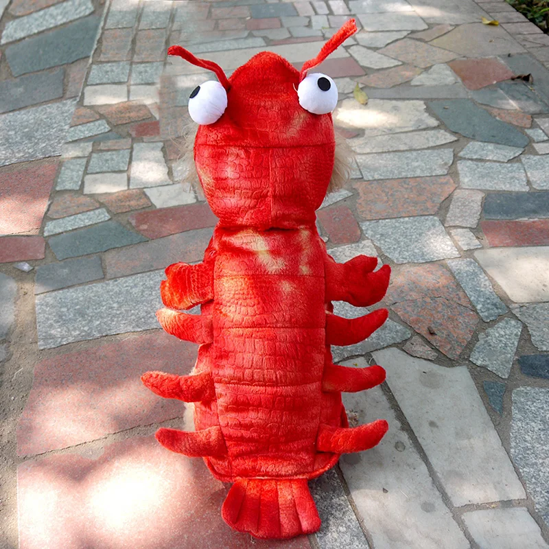 Lobster Transformation Suit Halloween Dog Costumes Warm Pet Small Medium Large Dogs Teddy Red Lobster Cat Big Dog Costume
Lobster Transformation Suit Halloween Dog Costumes Warm Pet Small Medium Large Dogs Teddy Red Lobster Cat Big Dog Costume