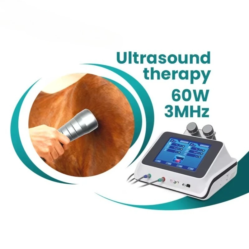Horse Dog Medical Physiotherapy Ultrasonic Therapy Instrument Pain Relief Ultrawave Machine CE Certified Class II Equipment
Horse Dog Medical Physiotherapy Ultrasonic Therapy Instrument Pain Relief Ultrawave Machine CE Certified Class II Equipment