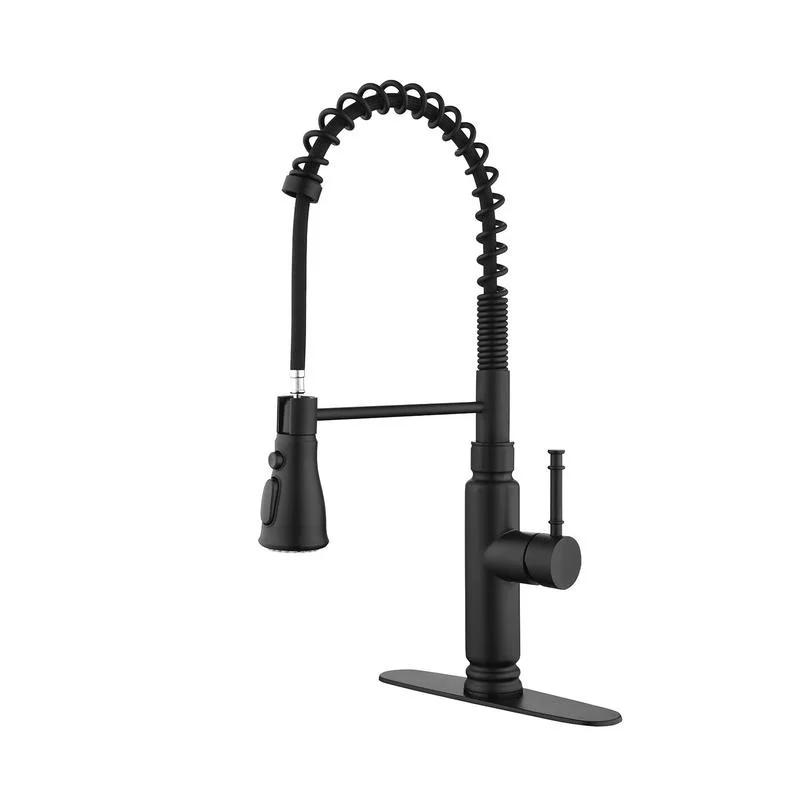 Touch Control Kitchen Faucet with Pull Down Spray Head
Touch Control Kitchen Faucet with Pull Down Spray Head