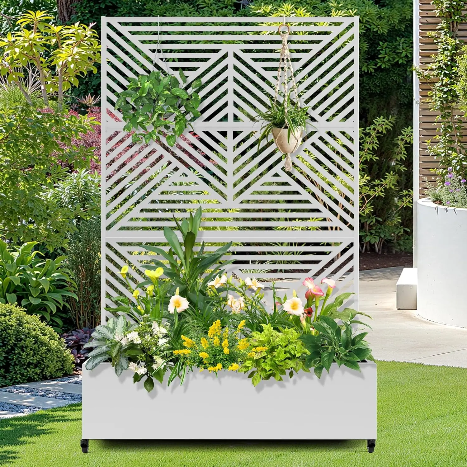 Металлическая садовая кровать с колесиками и решеткой, кашпо размером 73 x 47 x 16 дюймов для вьющихся растений, овощей и лоз, особенности Privac
Металлическая садовая кровать с колесиками и решеткой, кашпо размером 73 x 47 x 16 дюймов для вьющихся растений, овощей и лоз, особенности Privac