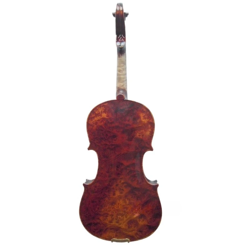 Professional handmade bird's eye maple violin
Professional handmade bird's eye maple violin