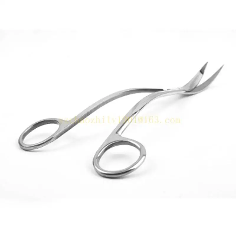 62KA Stainless Steel Scissors Tip Student Craft Scissors Pet Grooming Trimmer
62KA Stainless Steel Scissors Tip Student Craft Scissors Pet Grooming Trimmer