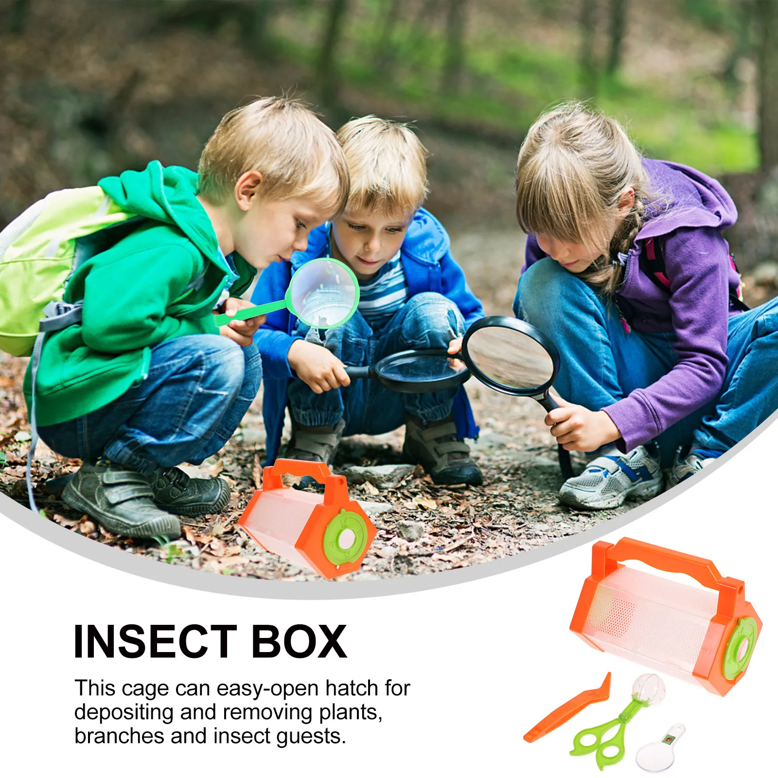 Children Insect Box Set Outdoor Exploration Critter Cage Carrier Handle Magnifying Glass Tweezers Transfer Capsule Fixed Base
Children Insect Box Set Outdoor Exploration Critter Cage Carrier Handle Magnifying Glass Tweezers Transfer Capsule Fixed Base