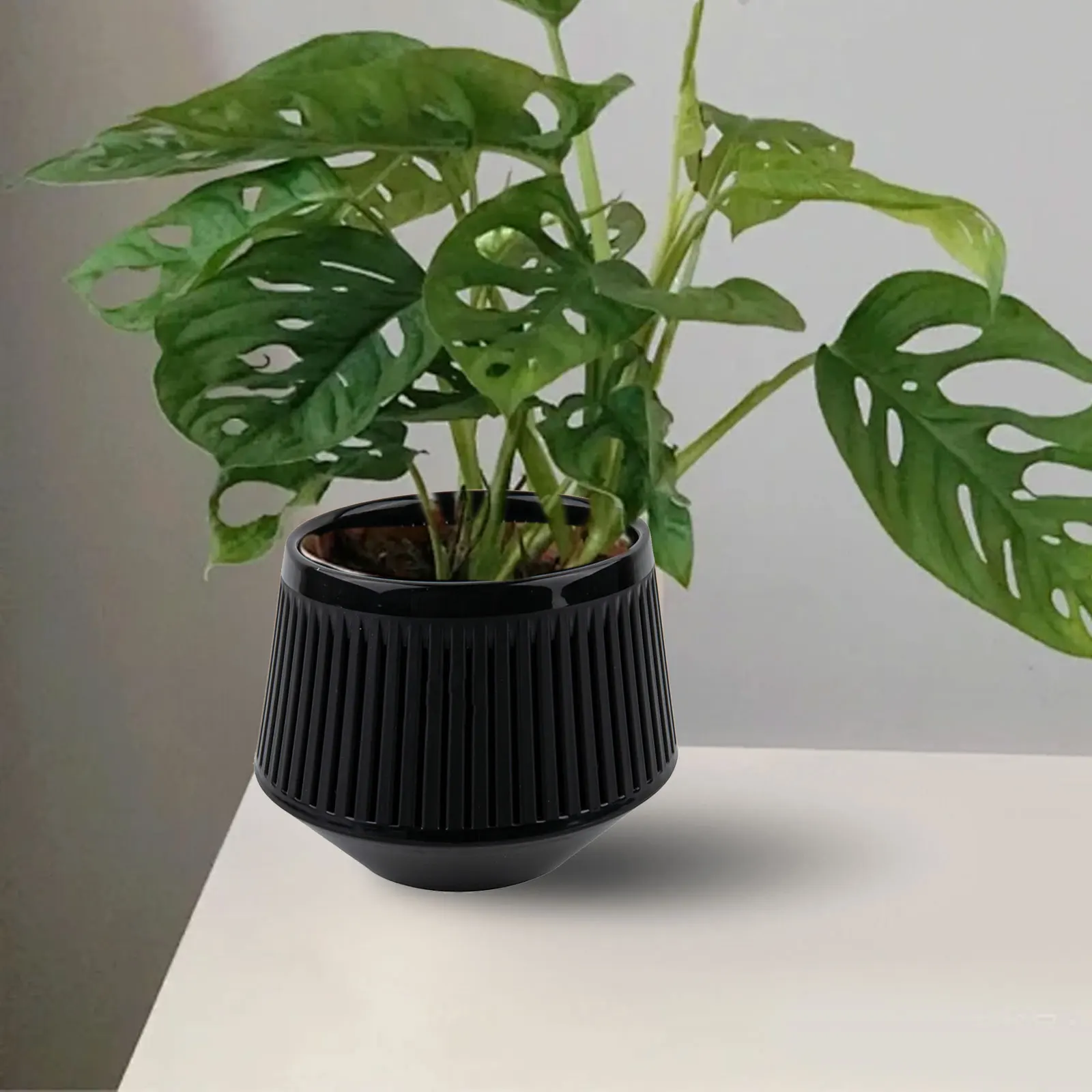 Decorative Pot As Shown Orchid Pot 360 Ventilation Holes Enhanced Air Circulation Included Saucers Raised Air Column
Decorative Pot As Shown Orchid Pot 360 Ventilation Holes Enhanced Air Circulation Included Saucers Raised Air Column