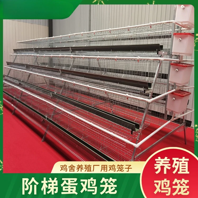 Трехслойная и четырехслойная клетка для курицы с лестницей для курятника, многослойная трехмерная клетка для разведения для разведения фермы
Трехслойная и четырехслойная клетка для курицы с лестницей для курятника, многослойная трехмерная клетка для разведения для разведения фермы