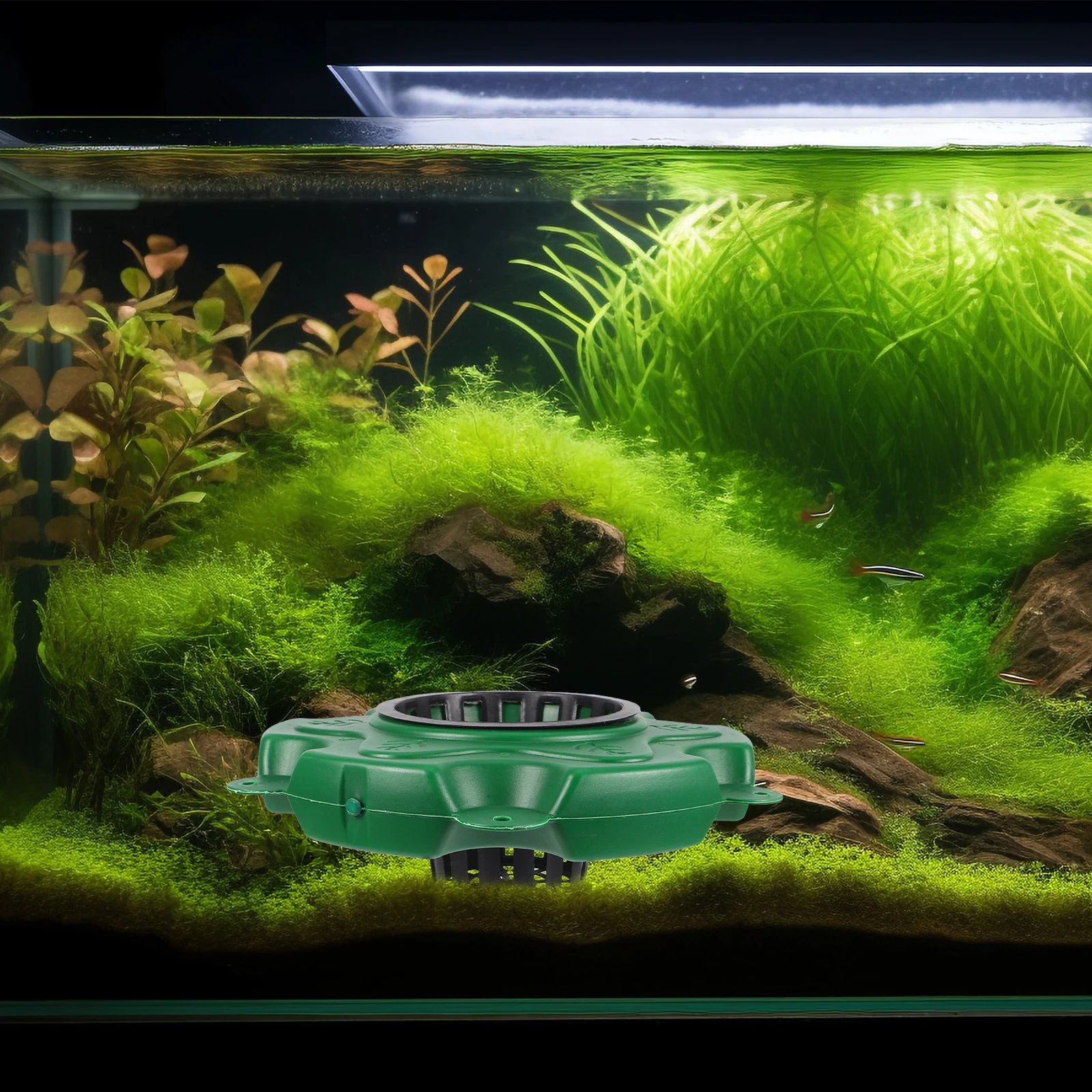 Aquatic Plant Floating Island Hydroponic Garden Basket for Water Surface Decoration and Pollution Reduction Floating Water
Aquatic Plant Floating Island Hydroponic Garden Basket for Water Surface Decoration and Pollution Reduction Floating Water