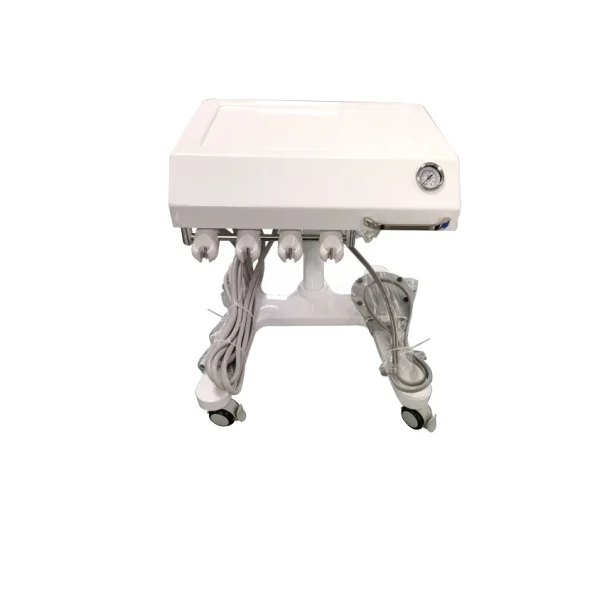 Dentales Suction Dental Equipment Mobile Suitcase Portable Veterinary Dental Unit For Pet
Dentales Suction Dental Equipment Mobile Suitcase Portable Veterinary Dental Unit For Pet
