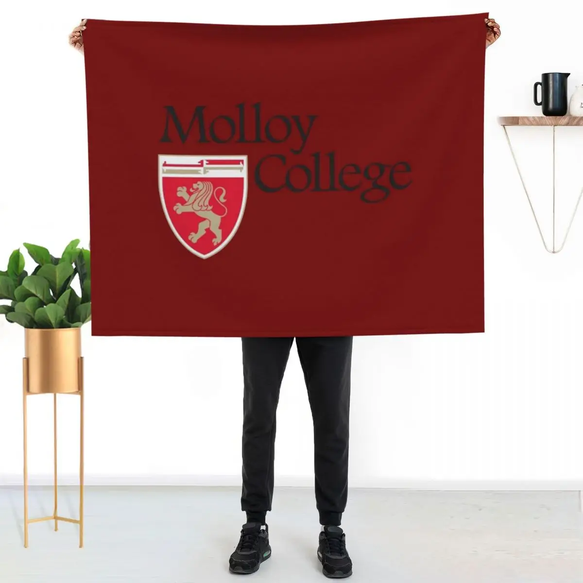Molloy College Throw Blanket Machine Washable Soft Warm Blanket
Molloy College Throw Blanket Machine Washable Soft Warm Blanket