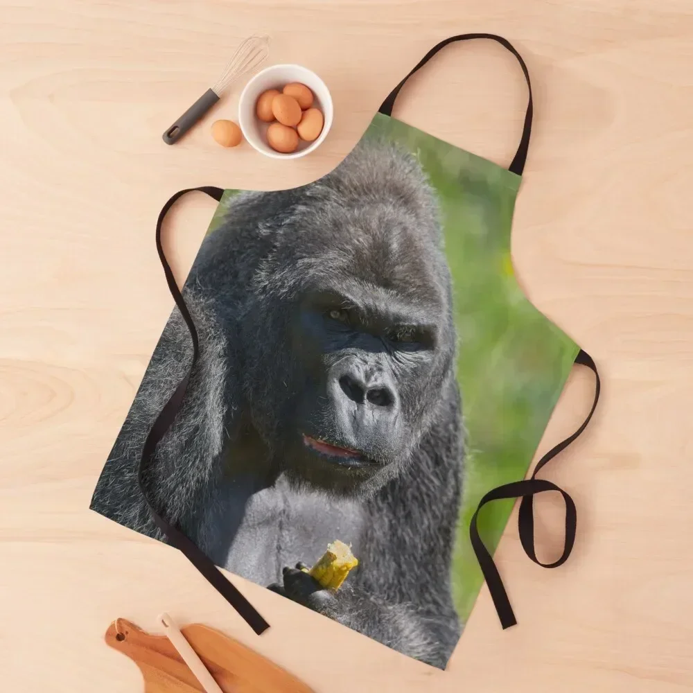 The Silverback Gorilla Apron Things For Home And Kitchen Trim Cloth Home And Kitchen for women halloween Apron
The Silverback Gorilla Apron Things For Home And Kitchen Trim Cloth Home And Kitchen for women halloween Apron
