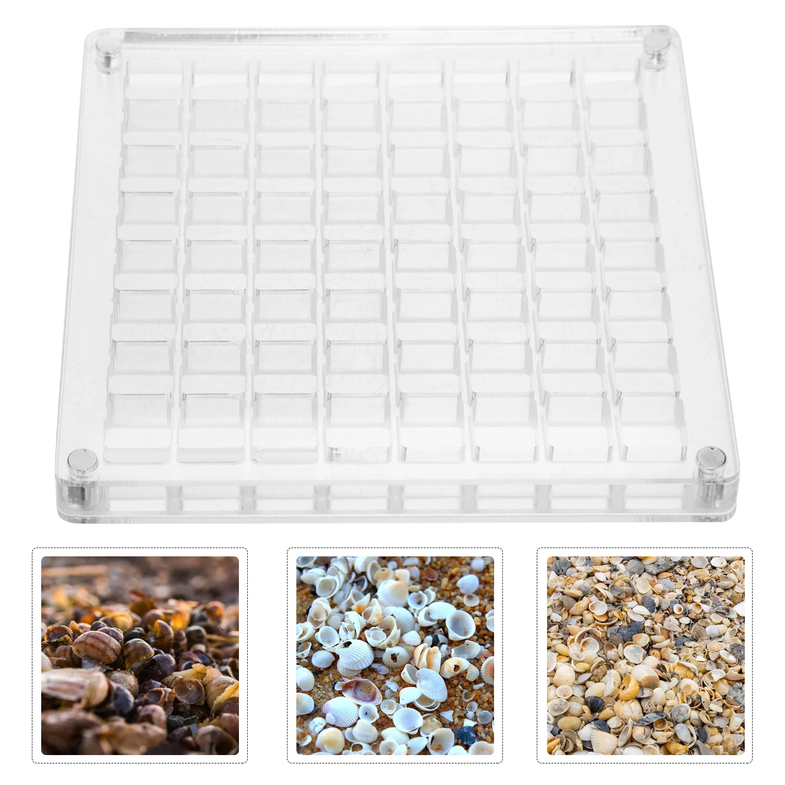 64 Holes Seashell Display Box Acrylic Clear Storage Case Organizer Frame Multi Grid Wall Mount Shell Holder Beads Jewelry Nails
64 Holes Seashell Display Box Acrylic Clear Storage Case Organizer Frame Multi Grid Wall Mount Shell Holder Beads Jewelry Nails