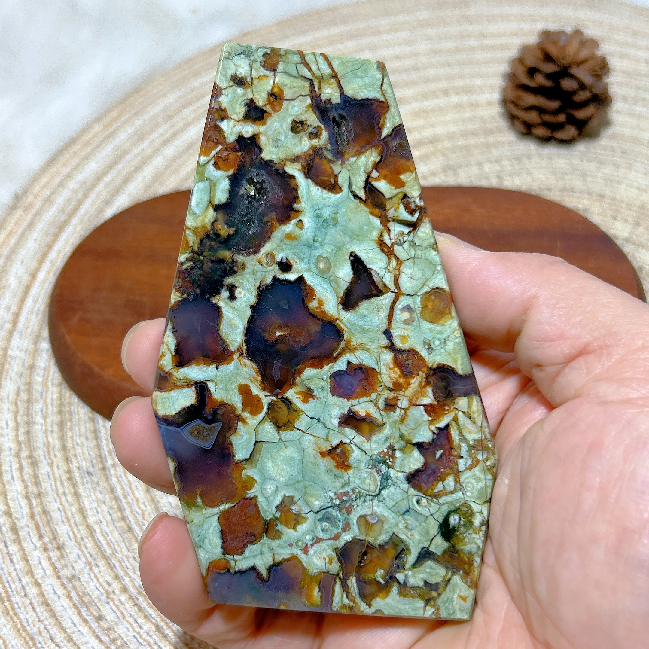 High Quality Natural Crystal Rainforest Jasper Slab Polished Slice Mineral Healing Ore Ornament Home Decorations Room Decor Gift
High Quality Natural Crystal Rainforest Jasper Slab Polished Slice Mineral Healing Ore Ornament Home Decorations Room Decor Gift