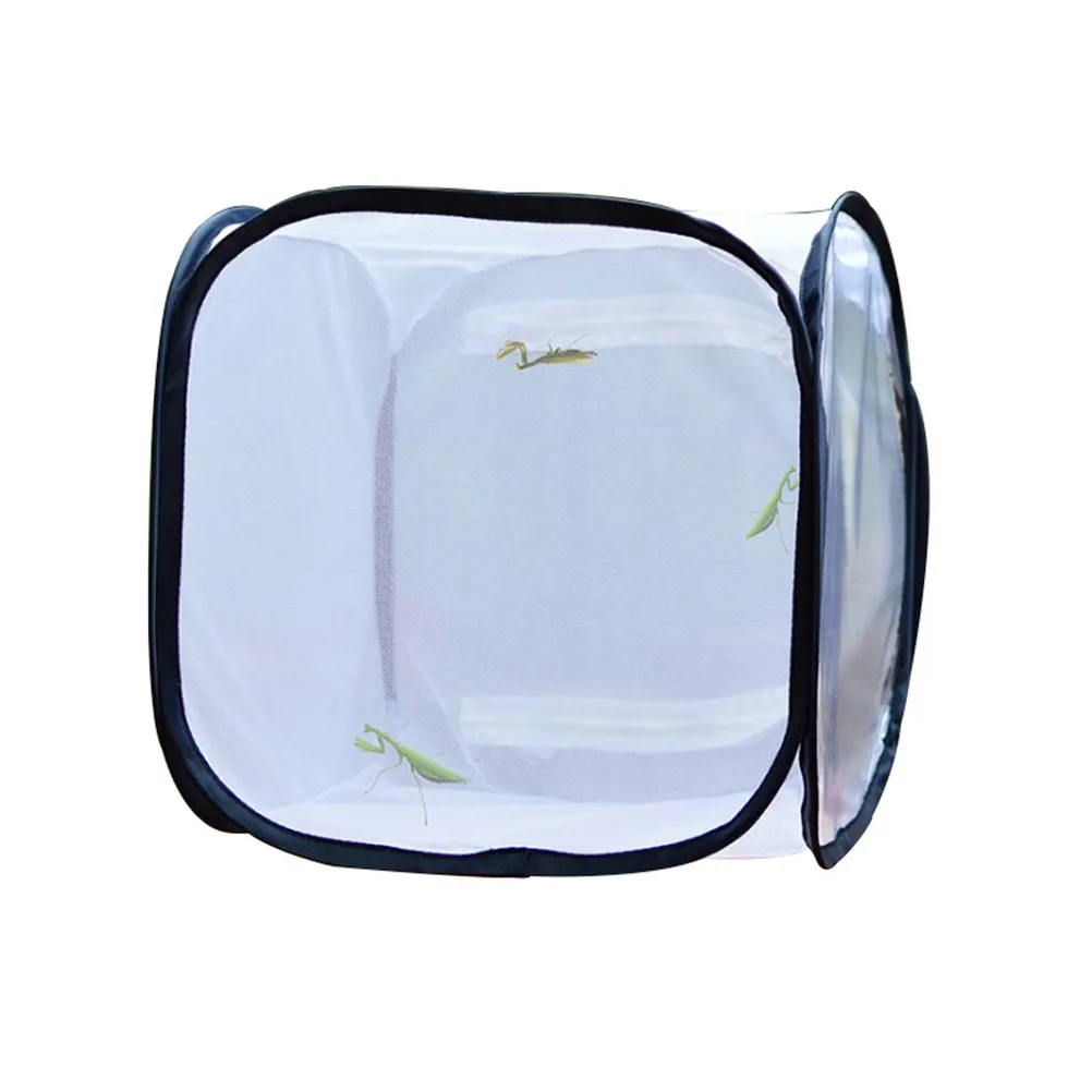 1Pcs Insect Case Portable Bug Cage for Kids Outdoor Nature Exploration Study Box Encourages Concentration Observation Cognitive
1Pcs Insect Case Portable Bug Cage for Kids Outdoor Nature Exploration Study Box Encourages Concentration Observation Cognitive