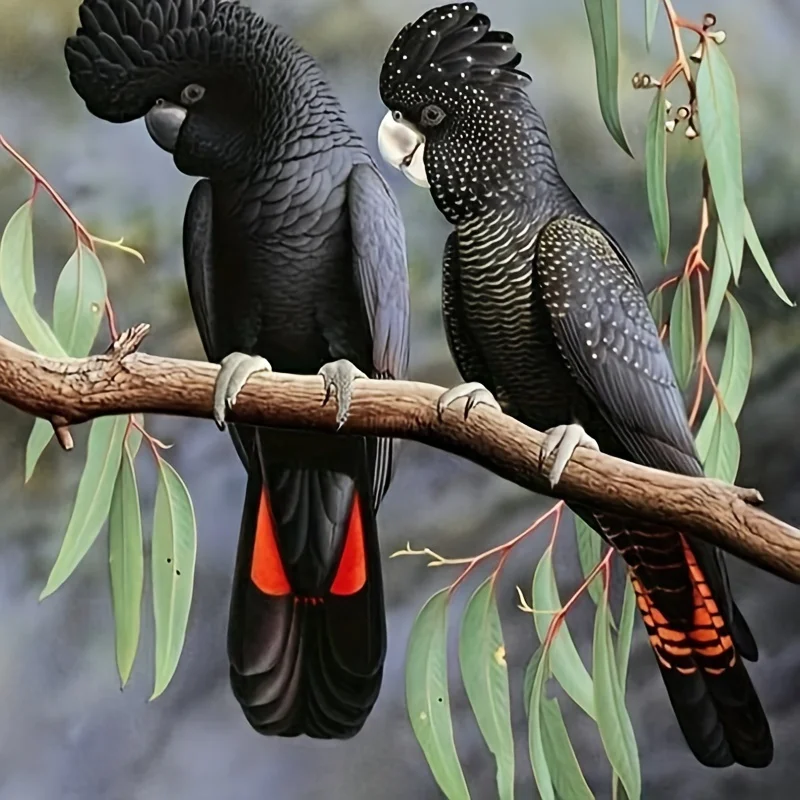 5D DIY Black Parrot Pattern Full Diamond Art Painting Set, Adult Beginner, Diamond Art Home Wall Decoration and Gift
5D DIY Black Parrot Pattern Full Diamond Art Painting Set, Adult Beginner, Diamond Art Home Wall Decoration and Gift