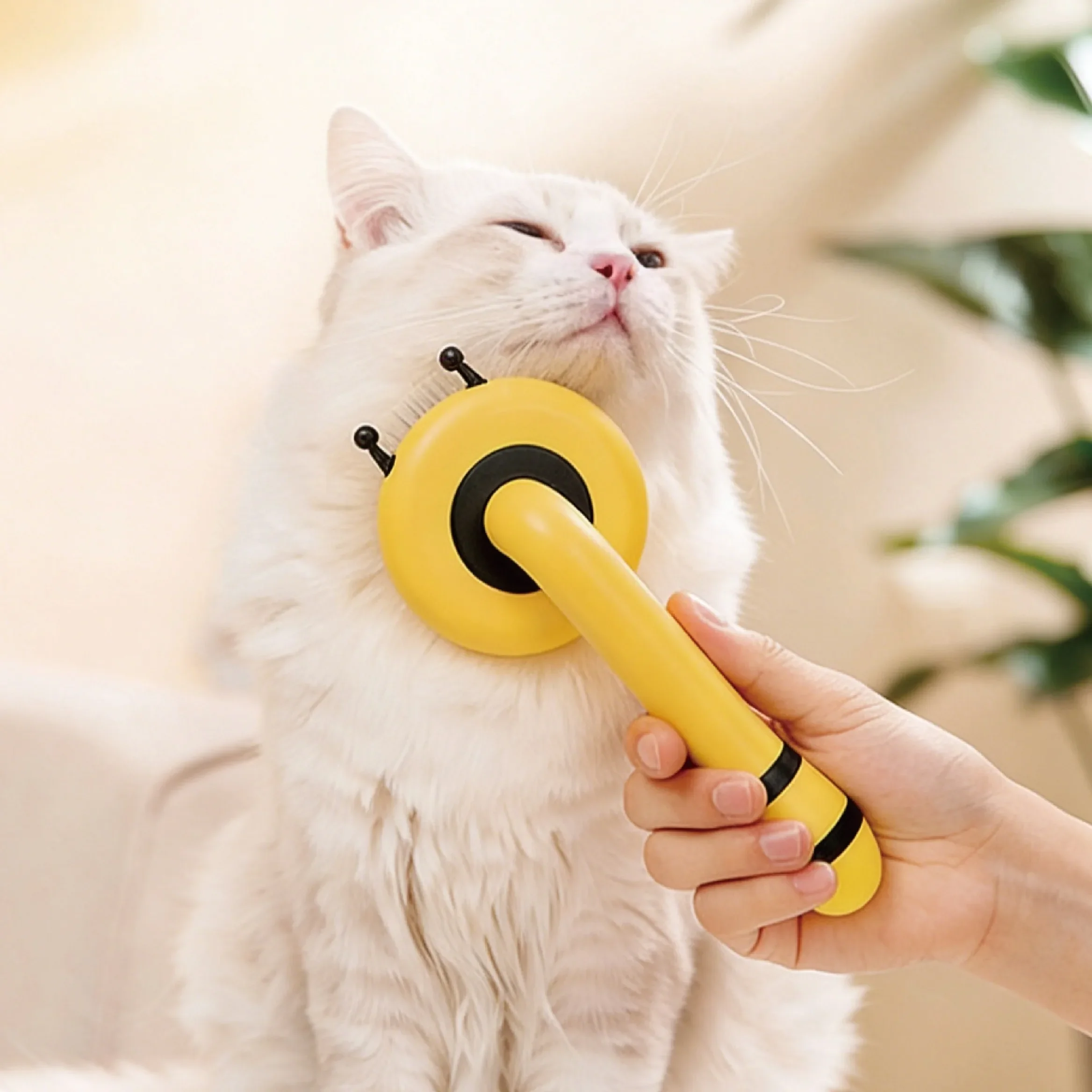 Dog Hair Remover Brush Long Hair Grooming Comb Pet Removes Hairs Cleaning Bath Brush Dog Pet Supplies Accessories
Dog Hair Remover Brush Long Hair Grooming Comb Pet Removes Hairs Cleaning Bath Brush Dog Pet Supplies Accessories
