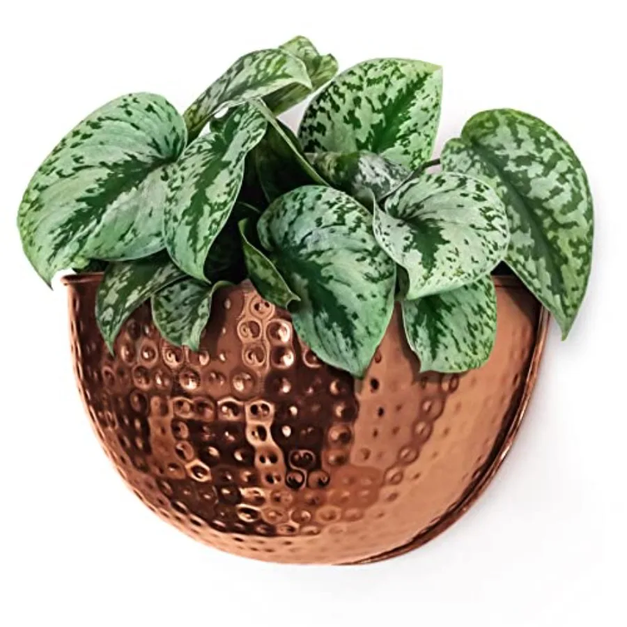 Metal Wall Planter Indoor or Outdoor Hanging Plant Pot Farmhouse Decor and Boho Kitchen Decoration for Herbs and Succulents and
Metal Wall Planter Indoor or Outdoor Hanging Plant Pot Farmhouse Decor and Boho Kitchen Decoration for Herbs and Succulents and