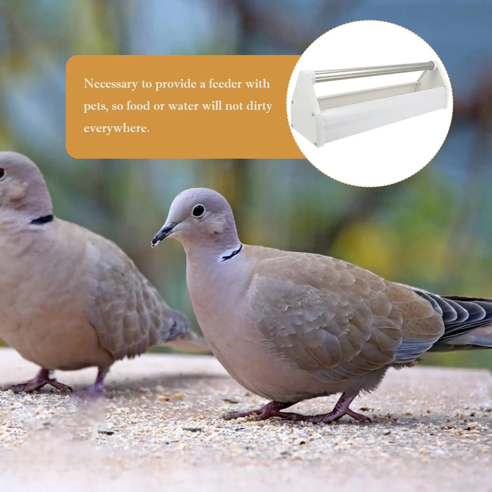 Pigeon Feeding Trough Stainless Steel Durable Lightweight Anti Splash Wear Resistance Birds Supplies Food Groove Bowl Easy Clean
Pigeon Feeding Trough Stainless Steel Durable Lightweight Anti Splash Wear Resistance Birds Supplies Food Groove Bowl Easy Clean