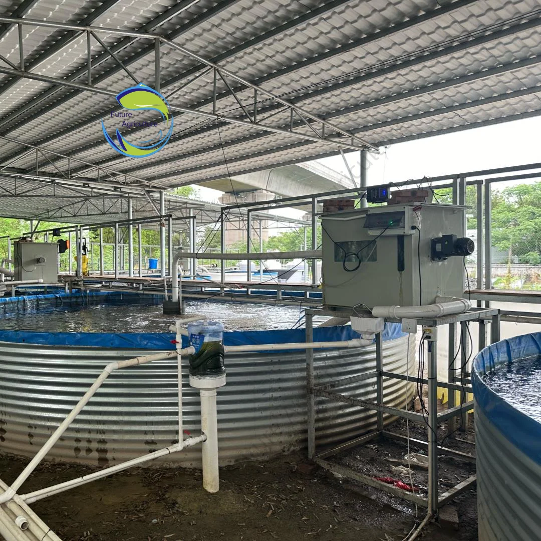 Аквапонные креветки для фермеры рыбы, полное небольшое оборудование для раш-системы, прудный барабанный фильтр с биологическим фильтром
Аквапонные креветки для фермеры рыбы, полное небольшое оборудование для раш-системы, прудный барабанный фильтр с биологическим фильтром