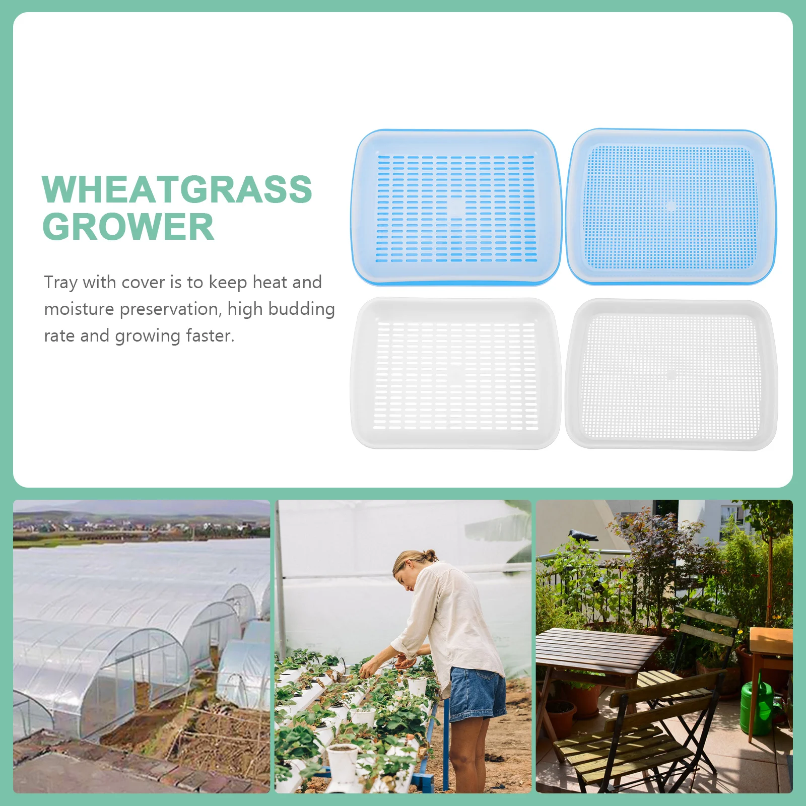 Broccoli Sprouts Planting Tray Sprouting Trays Succulents Plastic for Plants Microgreens
Broccoli Sprouts Planting Tray Sprouting Trays Succulents Plastic for Plants Microgreens