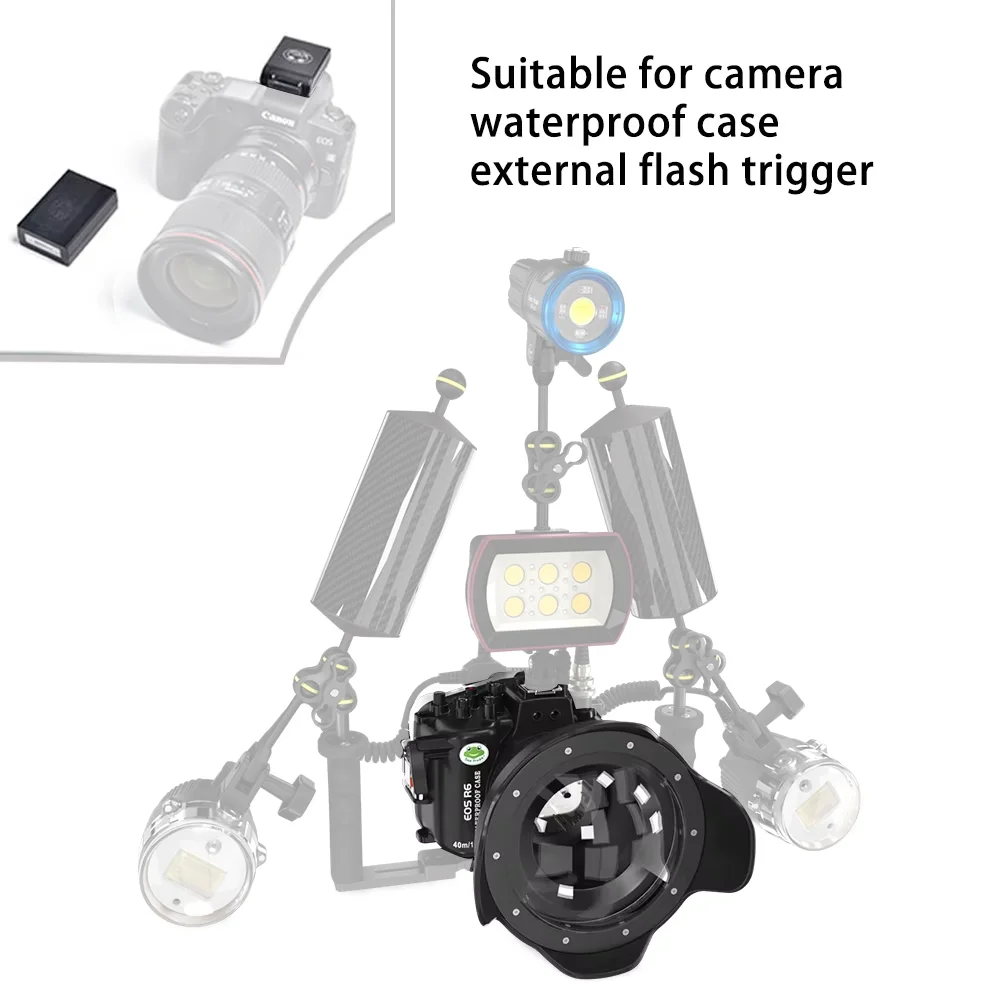 Seafrogs 40m waterproof case+focusing ring+6"wide-angle len cover for Canon RF 15-35mm F2.8 LIS USM diving photography equipment
Seafrogs 40m waterproof case+focusing ring+6"wide-angle len cover for Canon RF 15-35mm F2.8 LIS USM diving photography equipment