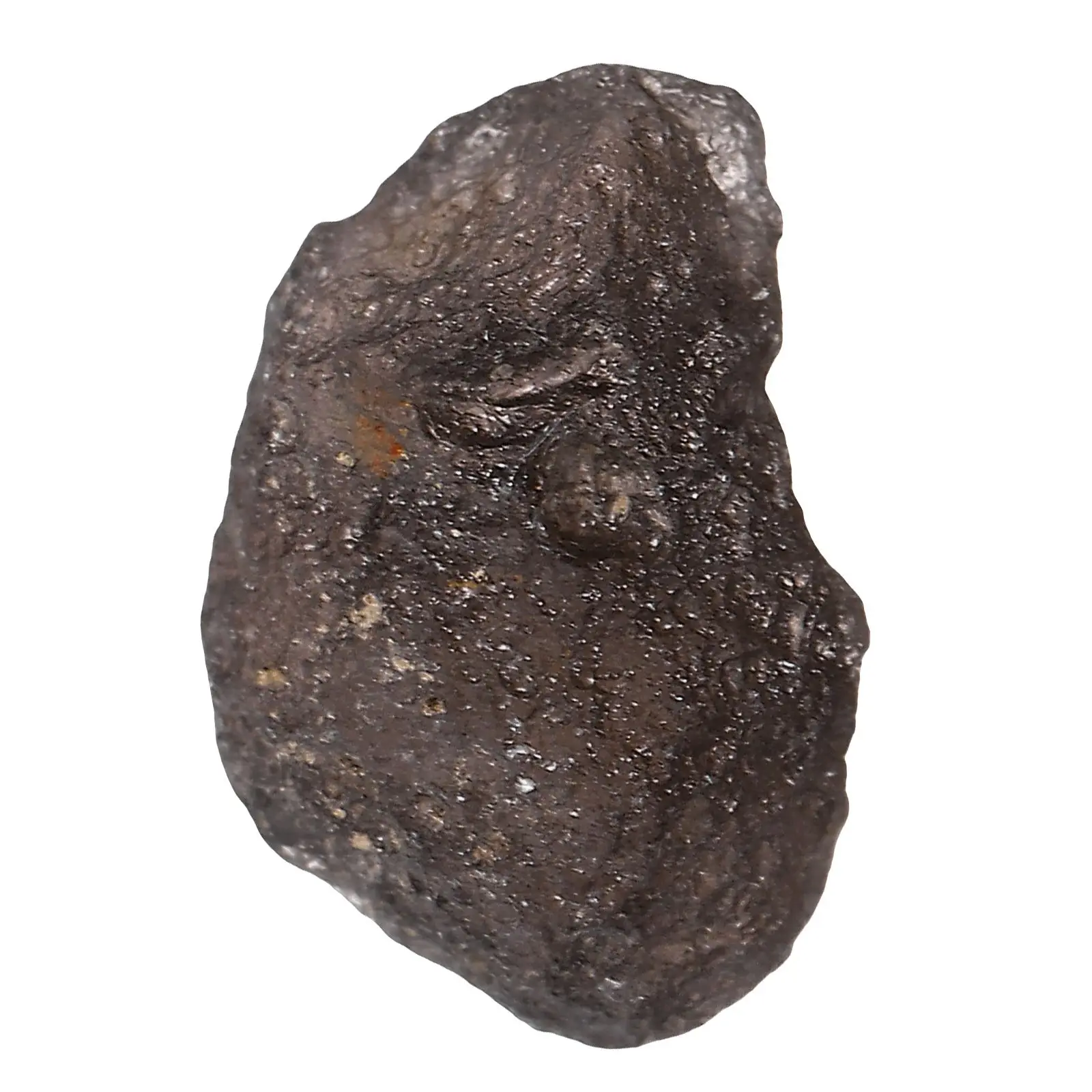 Meteorite Star Gift Gemstone Space Sample Rough Rock Specimen Crystal Science Stones Mineral and Roll
Meteorite Star Gift Gemstone Space Sample Rough Rock Specimen Crystal Science Stones Mineral and Roll