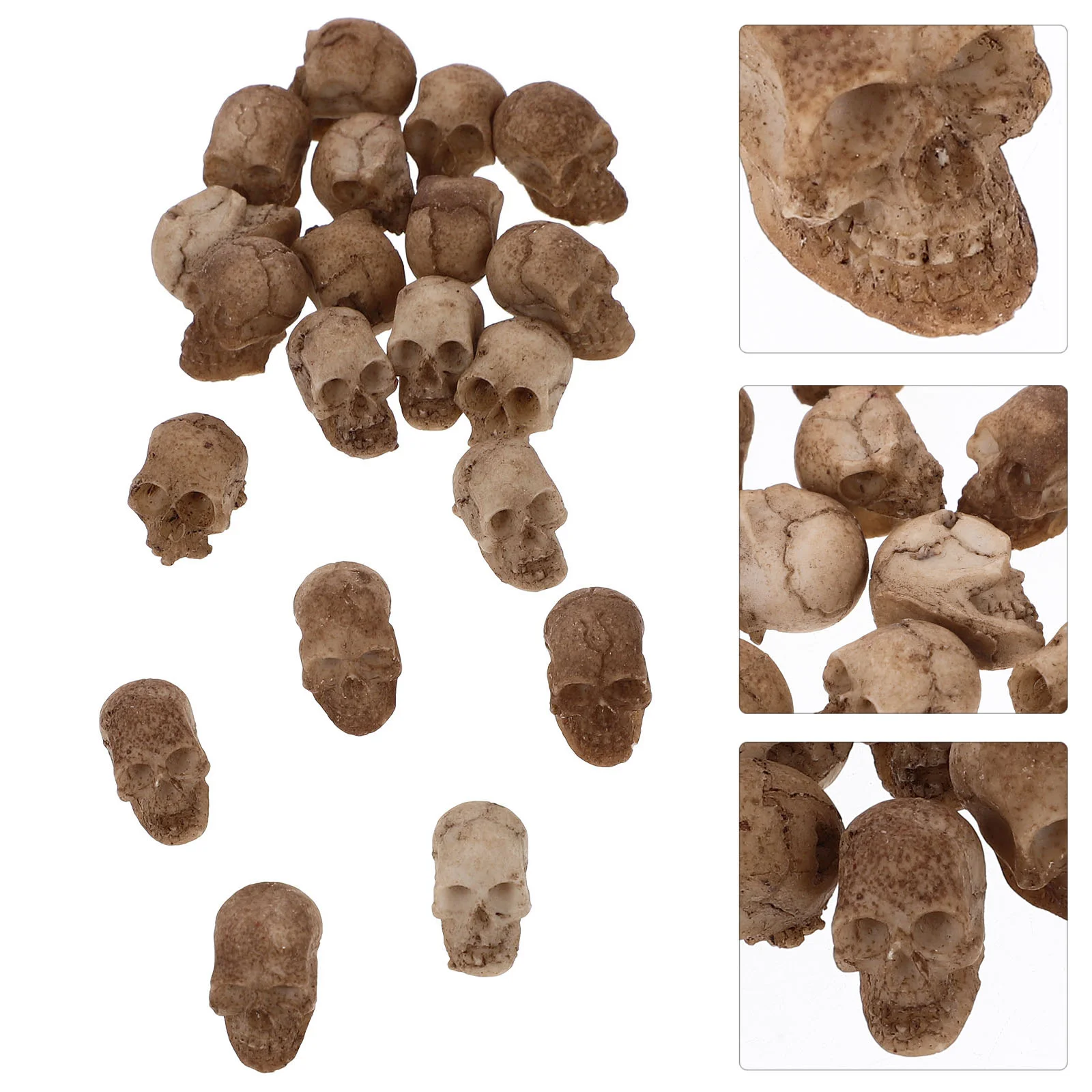20 Pcs Resin Skull Houseplant Exquisite Head Decorate Halloween Office Model Decoration
20 Pcs Resin Skull Houseplant Exquisite Head Decorate Halloween Office Model Decoration
