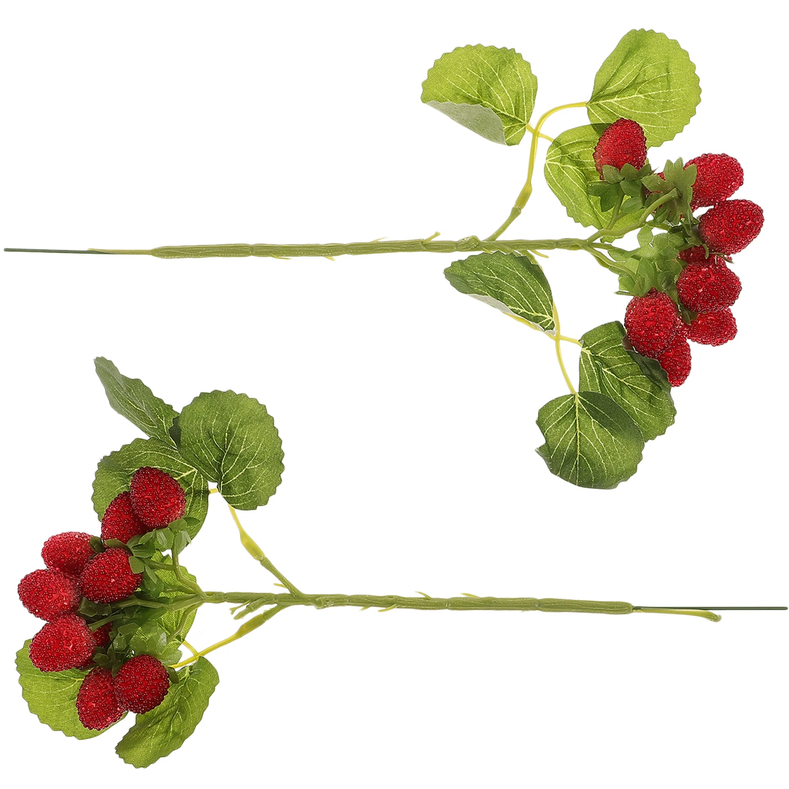 Bayberry Fruits Silk Leaves Home Decors Simulation Fruit Kitchen Decors Bouquet Lifelike Plants
Bayberry Fruits Silk Leaves Home Decors Simulation Fruit Kitchen Decors Bouquet Lifelike Plants