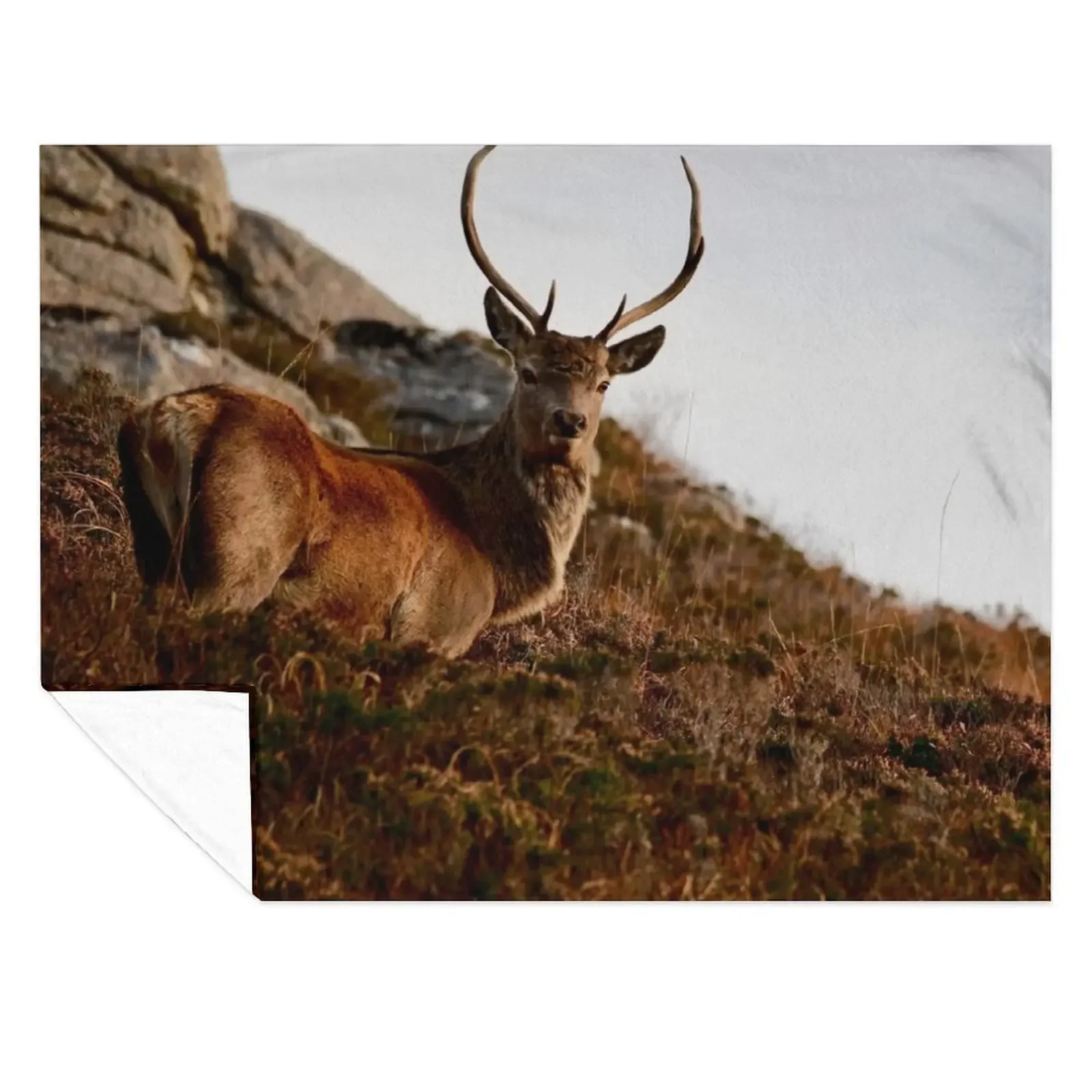 Watching Buck Throw Blanket Bed covers Soft Beds Fashion Sofas warm for winter Blankets
Watching Buck Throw Blanket Bed covers Soft Beds Fashion Sofas warm for winter Blankets