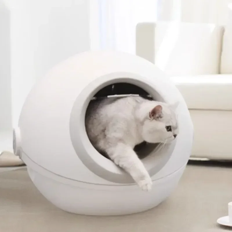 Банка для кошачьего туалета с вьющимся хвостом Meow Planet 2025 года, полностью закрытый, устойчивый к брызгам, кошачий туалет, защита от запаха, средства для чистки домашних животных, герметичный
Банка для кошачьего туалета с вьющимся хвостом Meow Planet 2025 года, полностью закрытый, устойчивый к брызгам, кошачий туалет, защита от запаха, средства для чистки домашних животных, герметичный