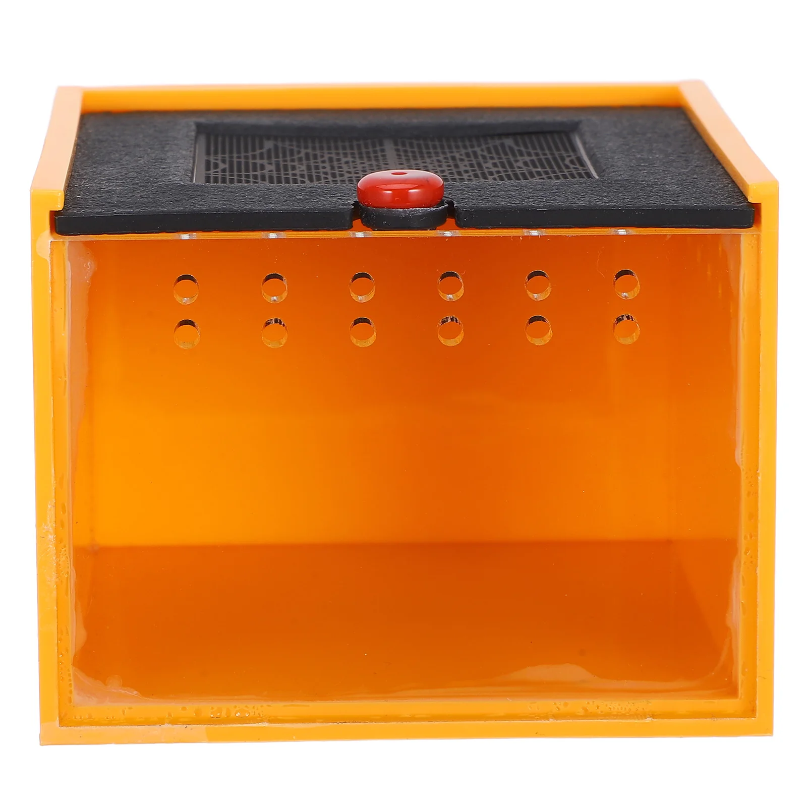 Acrylic Insect Box Spider Enclosure Snail Terrarium Jumping Hide Reptile Tank Ventilated Habitat for Spiders Beetles
Acrylic Insect Box Spider Enclosure Snail Terrarium Jumping Hide Reptile Tank Ventilated Habitat for Spiders Beetles