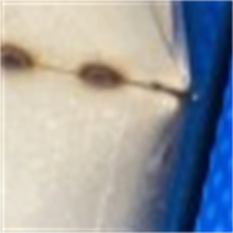 Промышленная электрическая машина для нарезки овощей: для лука, лука-порея, маринованной капусты, перца; промышленный измельчитель лука
Промышленная электрическая машина для нарезки овощей: для лука, лука-порея, маринованной капусты, перца; промышленный измельчитель лука