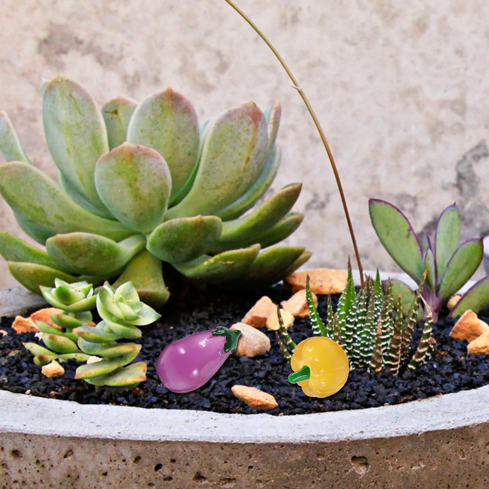 20pcs Miniature Vegetable Figurines Resin Craft Glow In Dark Micro Landscape Decoration For Garden Bonsai Aquarium Diy Ornament
20pcs Miniature Vegetable Figurines Resin Craft Glow In Dark Micro Landscape Decoration For Garden Bonsai Aquarium Diy Ornament