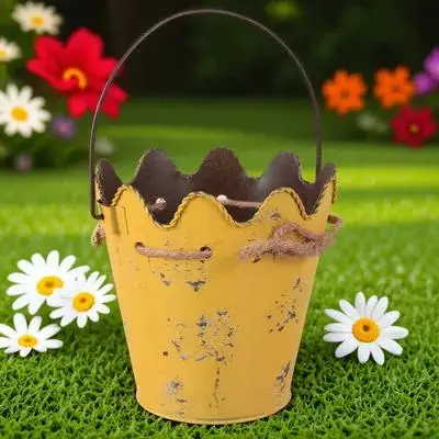 Iron Flower Pot Retro Desk Decor Planter Bucket for Home Plant Storage Unique Shape Durable Safe Succulent Gift
Iron Flower Pot Retro Desk Decor Planter Bucket for Home Plant Storage Unique Shape Durable Safe Succulent Gift