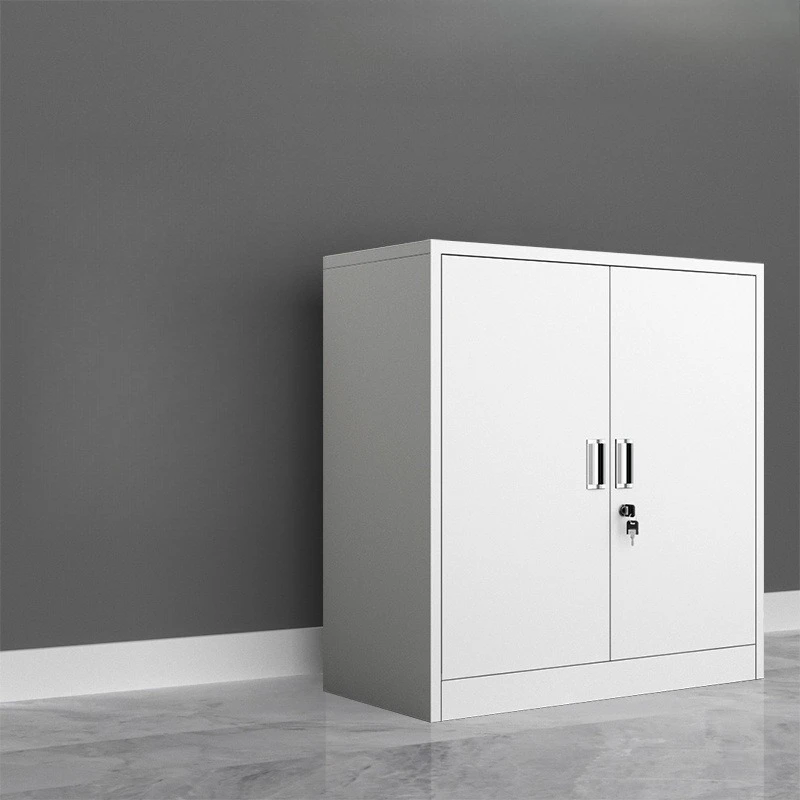 Modern Minimalist Steel Cabinet Nordic Office Hotel Financial Storage Filing Cabinet School Office Furniture أثاث مكتبات FYFC
Modern Minimalist Steel Cabinet Nordic Office Hotel Financial Storage Filing Cabinet School Office Furniture أثاث مكتبات FYFC