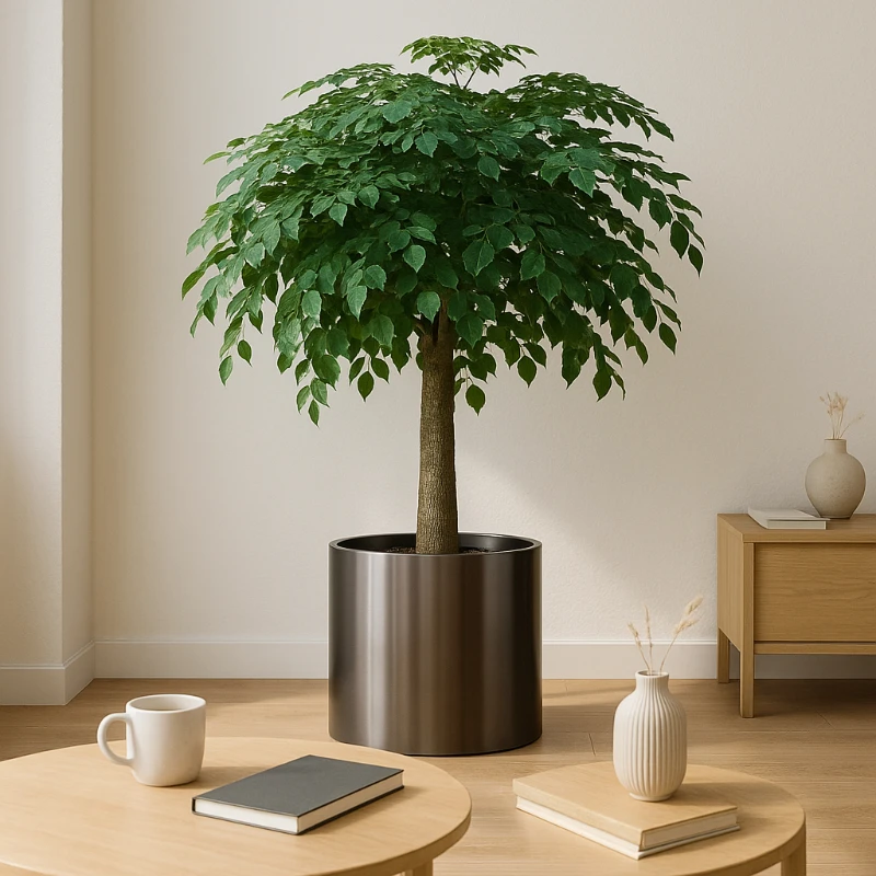 Large Outdoor Stainless Steel Planter Box Cylindrical Metal Flower Pot XXL Nordic Frost Proof Jardin Vase for Garden Decor
Large Outdoor Stainless Steel Planter Box Cylindrical Metal Flower Pot XXL Nordic Frost Proof Jardin Vase for Garden Decor