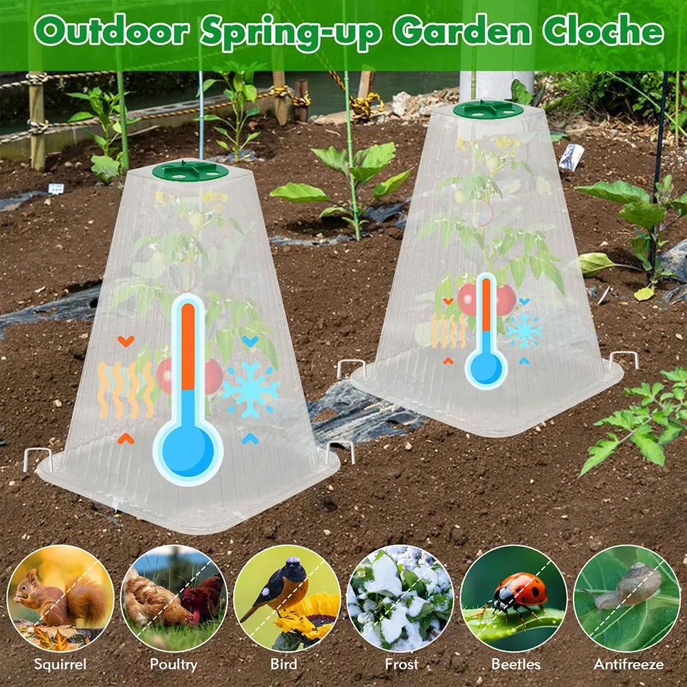20Pcs Reusable Garden Cloches Plant Covers with Adjustable Ventilation Tops Frost & Animal Protection for Plants Flowers Seeds
20Pcs Reusable Garden Cloches Plant Covers with Adjustable Ventilation Tops Frost & Animal Protection for Plants Flowers Seeds