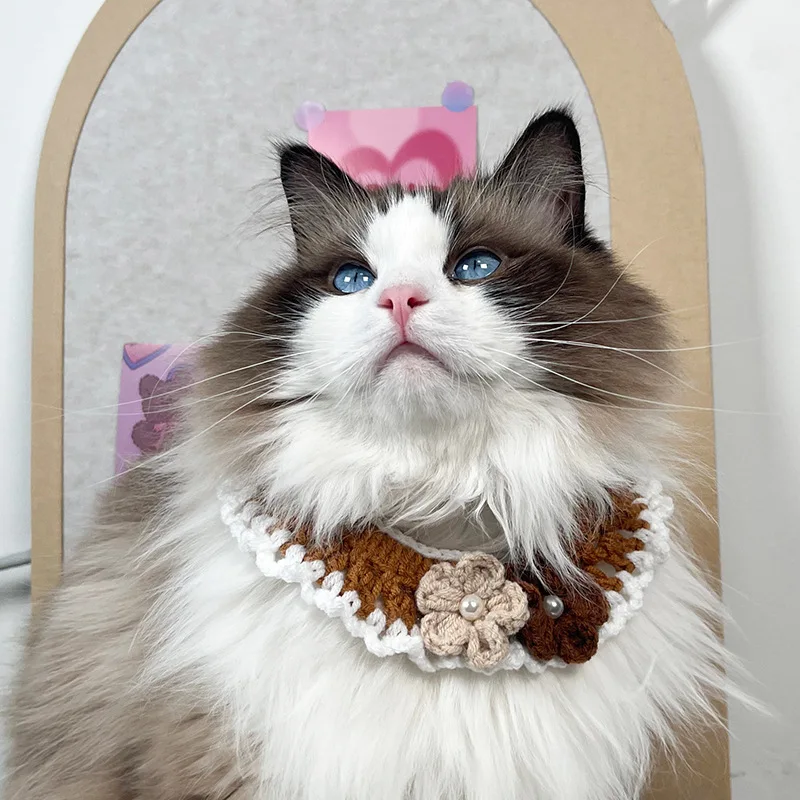 Cat Dog Knitted Collar Cute Scarf Drooling Towel Bib Wool Collar Small Dog Photo Decorative Flower Accessories Handmade Scarf
Cat Dog Knitted Collar Cute Scarf Drooling Towel Bib Wool Collar Small Dog Photo Decorative Flower Accessories Handmade Scarf