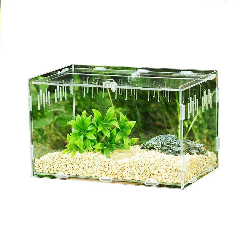 Pet Spider Insect Habitat Box, Acrylic Mantis Cricket Mini Reptile Ecosystem Enclosure for Jumping Spiders Singing Insects
Pet Spider Insect Habitat Box, Acrylic Mantis Cricket Mini Reptile Ecosystem Enclosure for Jumping Spiders Singing Insects