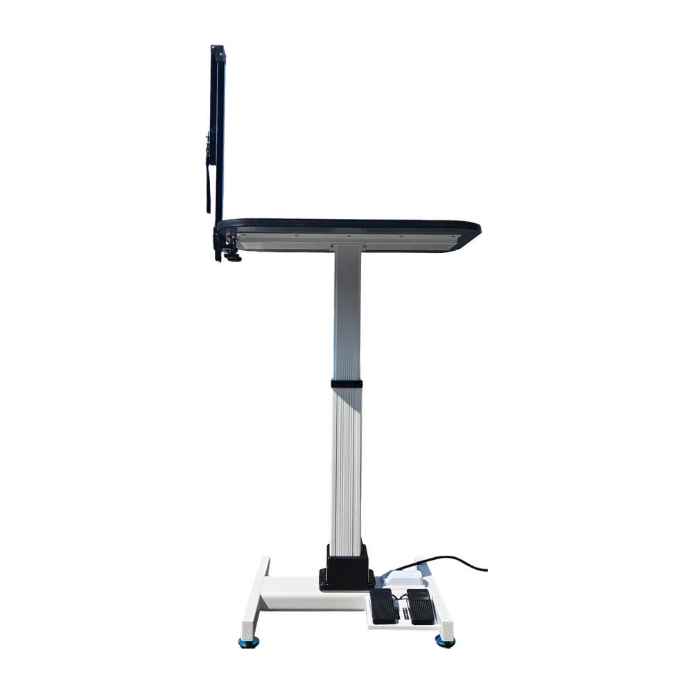 Электрический стол для ухода за домашними животными APTA-1315H Уход за домашними животными с помощью нашего регулируемого электрического раствора для ухода за домашними животными Стол для домашних животных
Электрический стол для ухода за домашними животными APTA-1315H Уход за домашними животными с помощью нашего регулируемого электрического раствора для ухода за домашними животными Стол для домашних животных