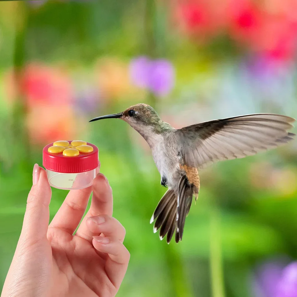 Feeder Hand Feeder Outdoor Beautiful For Wild Bird Hand Feeder Hand-held Water Feeders Plastic Red With Cleaning Brush
Feeder Hand Feeder Outdoor Beautiful For Wild Bird Hand Feeder Hand-held Water Feeders Plastic Red With Cleaning Brush
