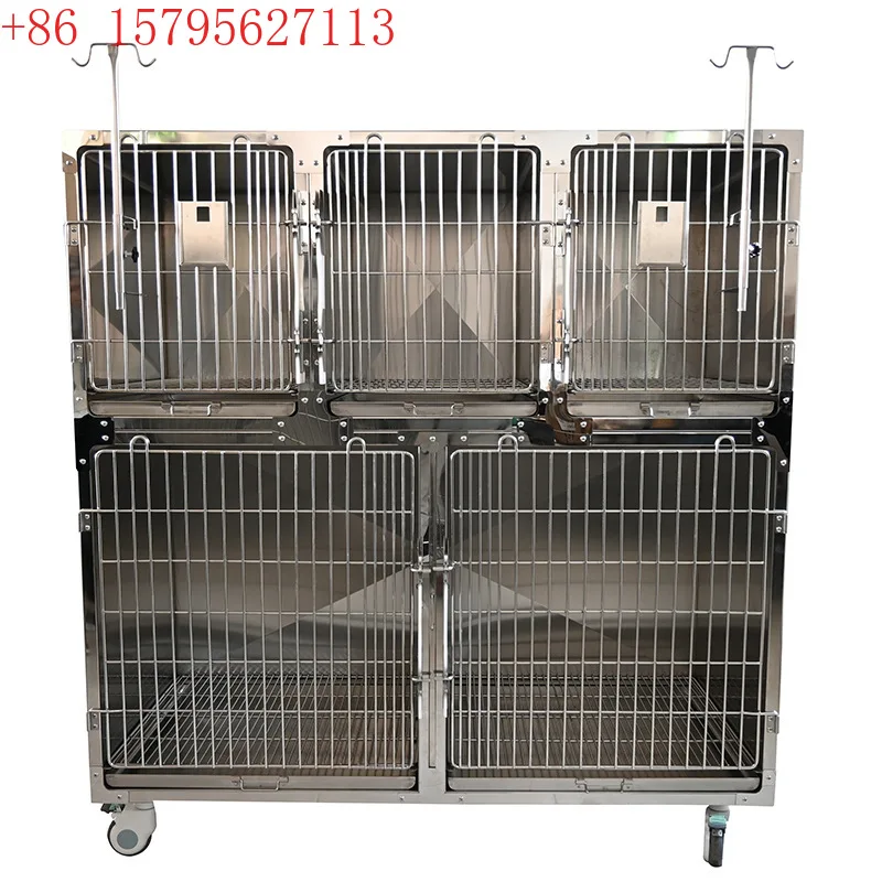 Source Factory Нержавеющая сталь Pet Inpatient Cage Store Foster Cage Hospital Инфракрасная изоляционная клетка Производитель по индивидуальному заказу
Source Factory Нержавеющая сталь Pet Inpatient Cage Store Foster Cage Hospital Инфракрасная изоляционная клетка Производитель по индивидуальному заказу