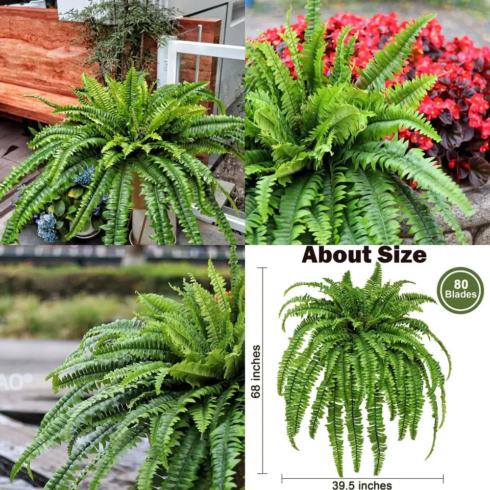 68 высоких искусственных шелковых растений Бостон-папоротников для уличного патио, домашнего офиса, сада и декора зелени на крыльце
68 высоких искусственных шелковых растений Бостон-папоротников для уличного патио, домашнего офиса, сада и декора зелени на крыльце