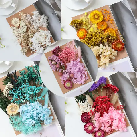 Real Dried Pressed Leaf Flowers-Multiple Colorful Pressed Flower Daisies for Candle Resin Jewelry Pendant Making Art Craft DIY