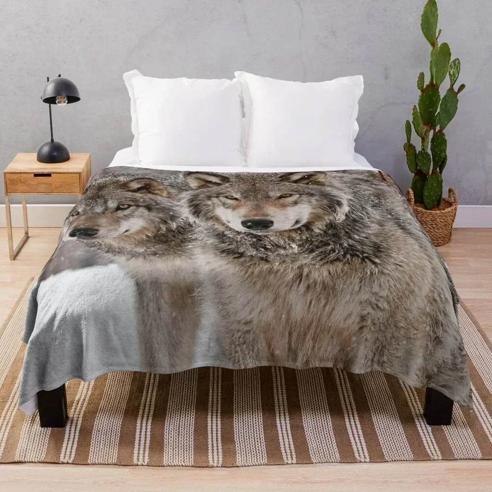Timber Wolf Pair Throw Blanket Vintage Decorative Sofas Blankets Sofas Of Decoration Blankets
Timber Wolf Pair Throw Blanket Vintage Decorative Sofas Blankets Sofas Of Decoration Blankets