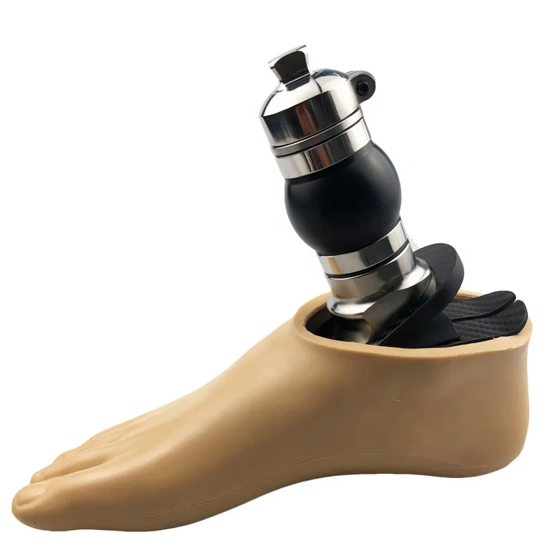 Протез стопы с высоким голеностопом и амортизацией 2026 Prosthetic Component High Ankle Ball
Протез стопы с высоким голеностопом и амортизацией 2026 Prosthetic Component High Ankle Ball