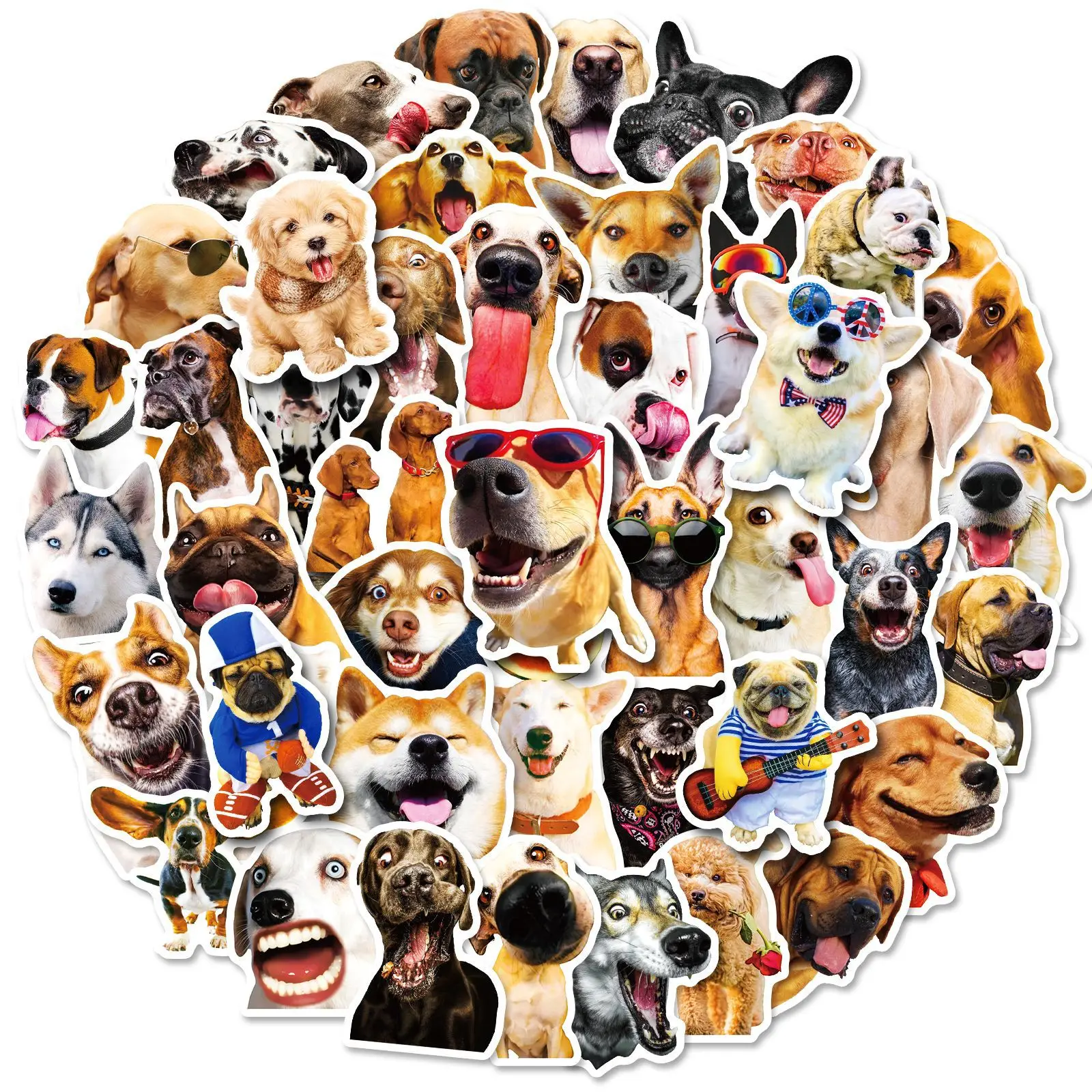 50/100PCS Funny Cute Realistic Dog Sticker Waterproof Decals Skateboard Phone Kettle Bike Laptop Fridge Graffiti Kids Rewards
50/100PCS Funny Cute Realistic Dog Sticker Waterproof Decals Skateboard Phone Kettle Bike Laptop Fridge Graffiti Kids Rewards